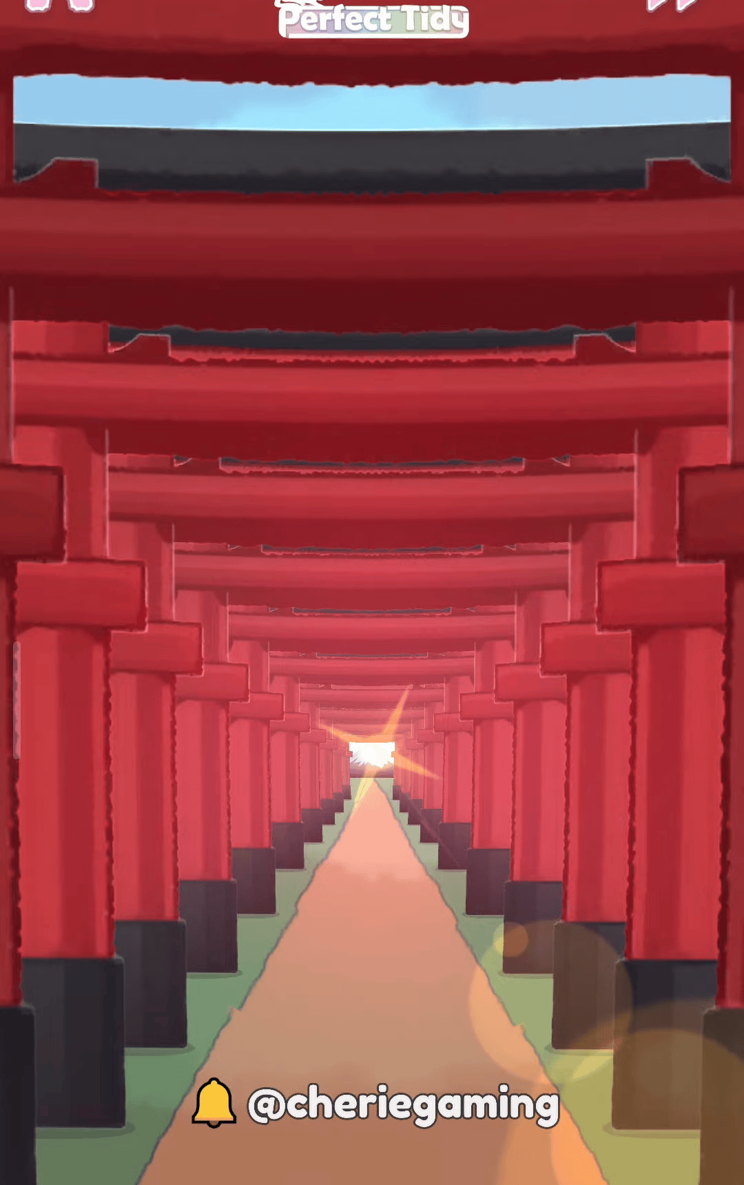 Perfect Tidy Level 114 Complete Walkthrough