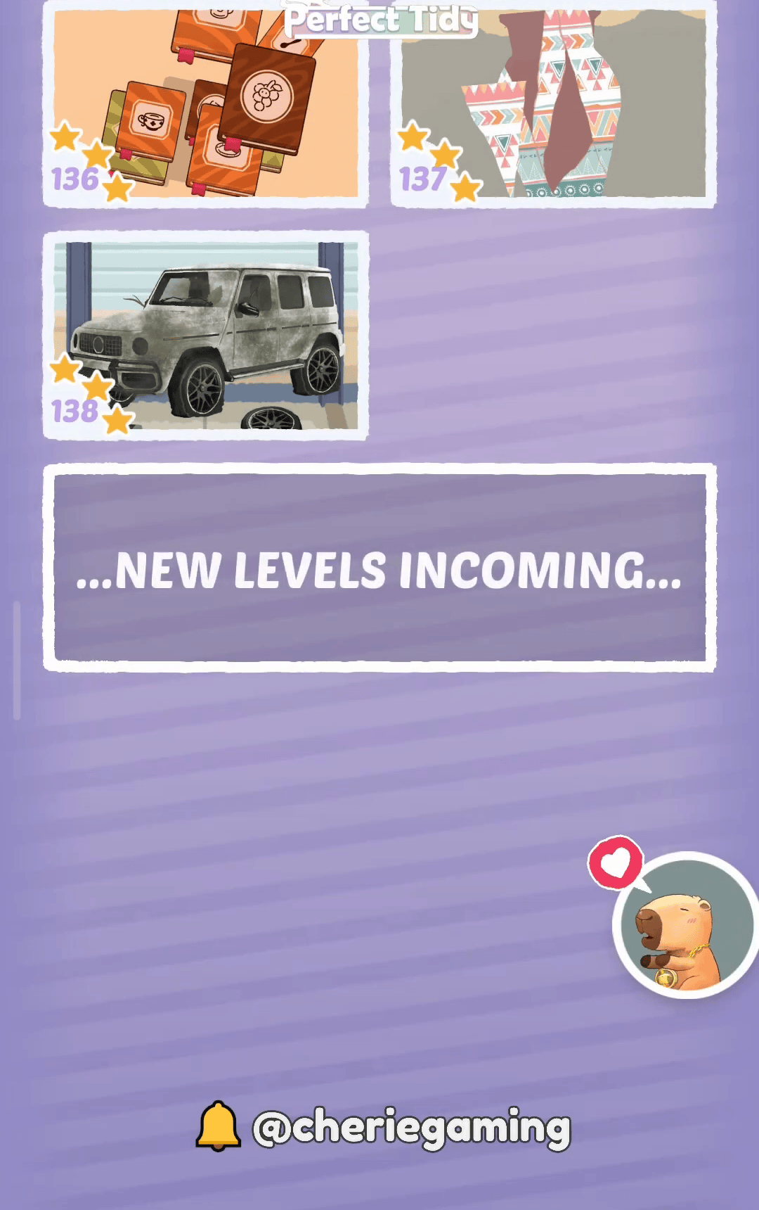 Perfect Tidy Level 136 Complete Walkthrough