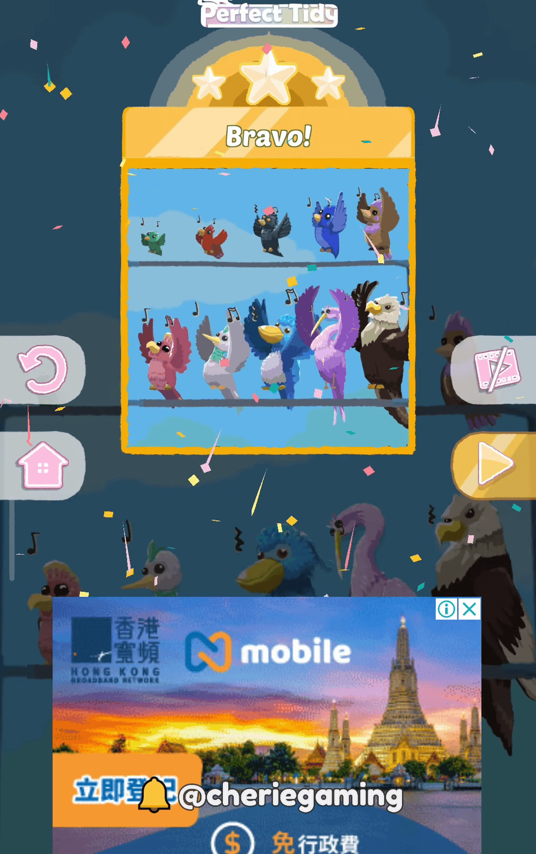 Perfect Tidy Level 14 Complete Walkthrough