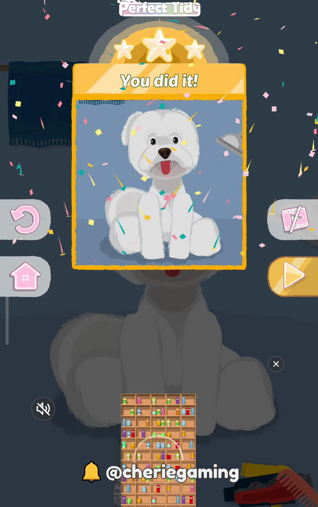 Perfect Tidy Level 18 Complete Walkthrough