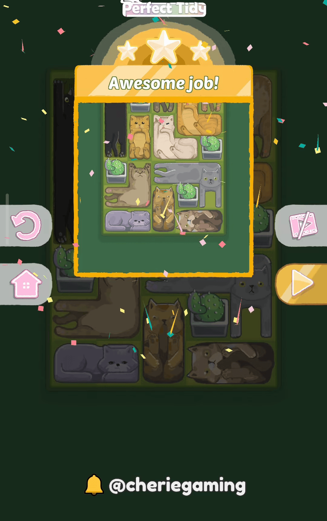 Perfect Tidy Level 30 Complete Walkthrough