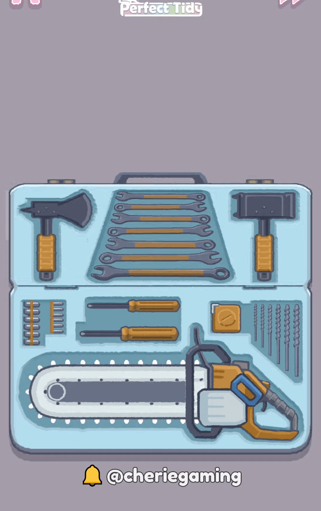 Perfect Tidy Level 39 Complete Walkthrough