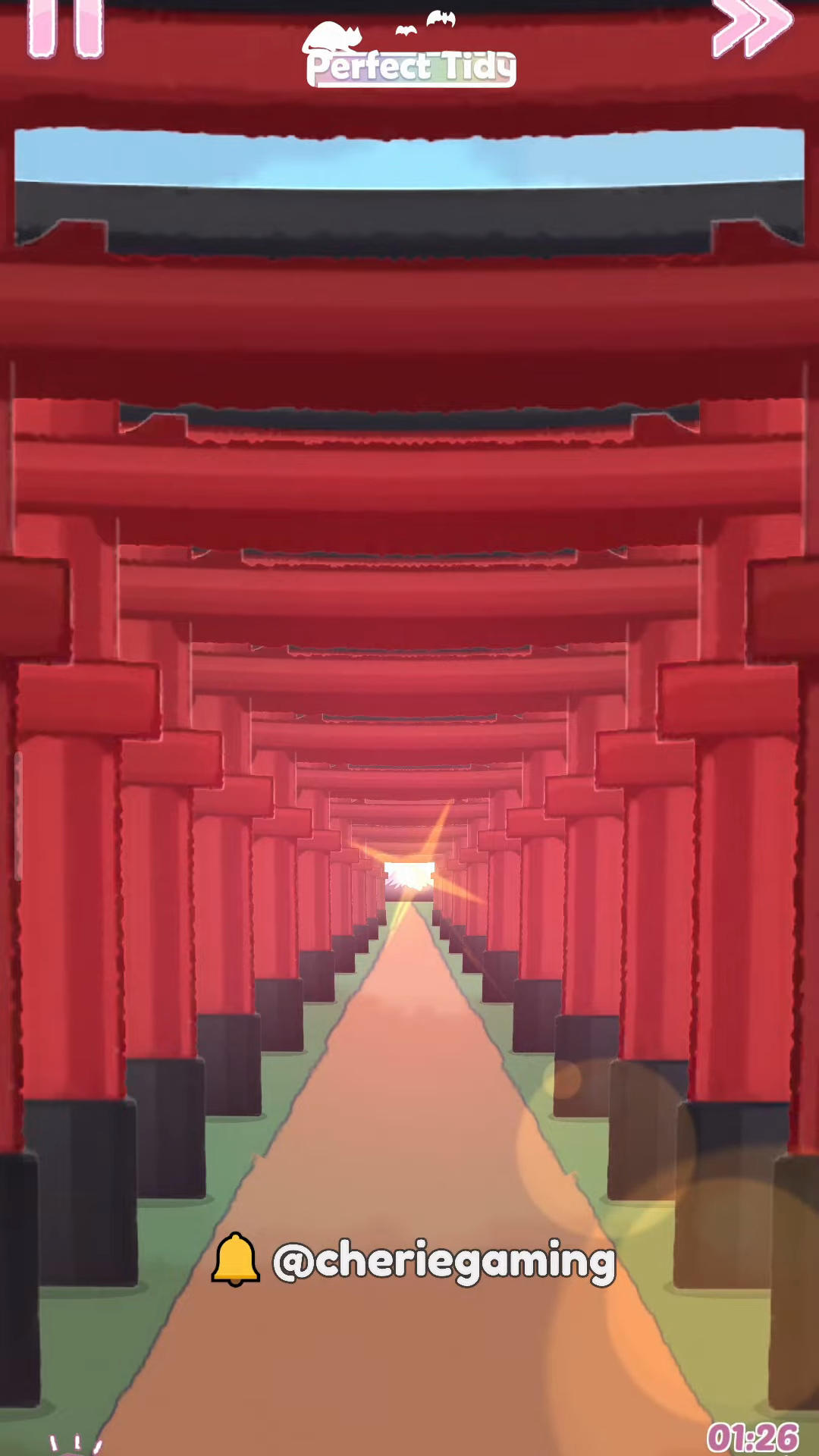 Perfect Tidy Level 114 Complete Walkthrough Step 3