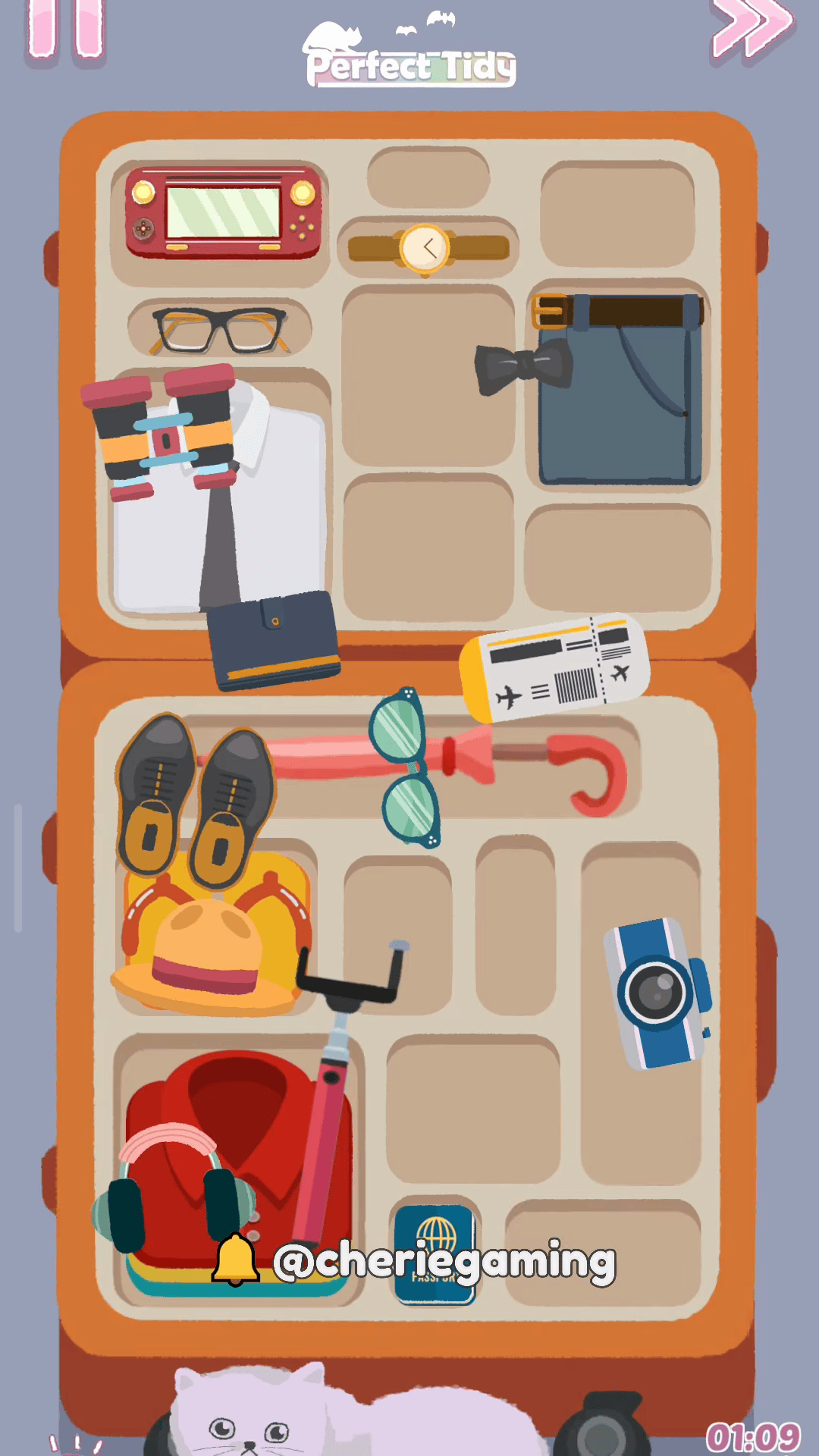 Perfect Tidy Level 12 Complete Walkthrough Step 3