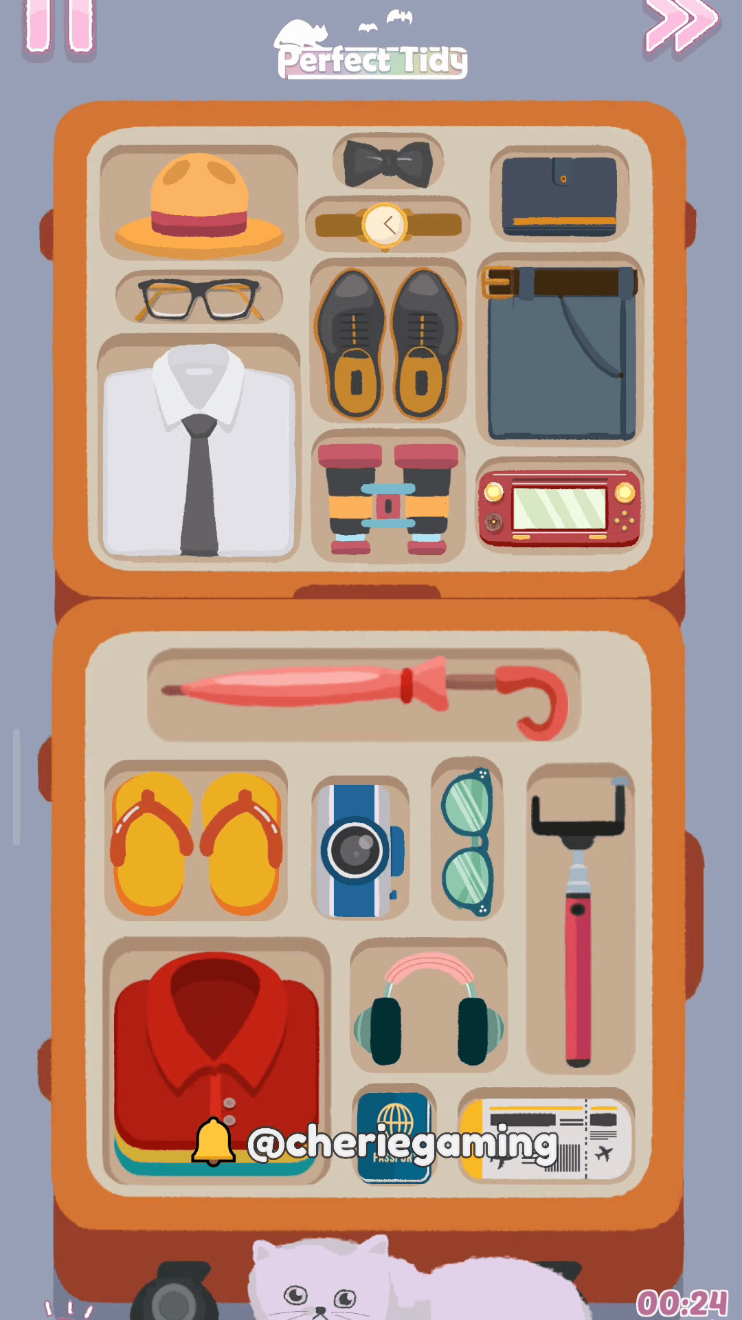 Perfect Tidy Level 12 Complete Walkthrough Step 5