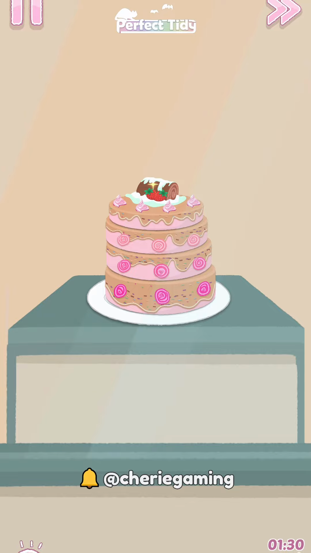 Perfect Tidy Level 120 Complete Walkthrough Step 3