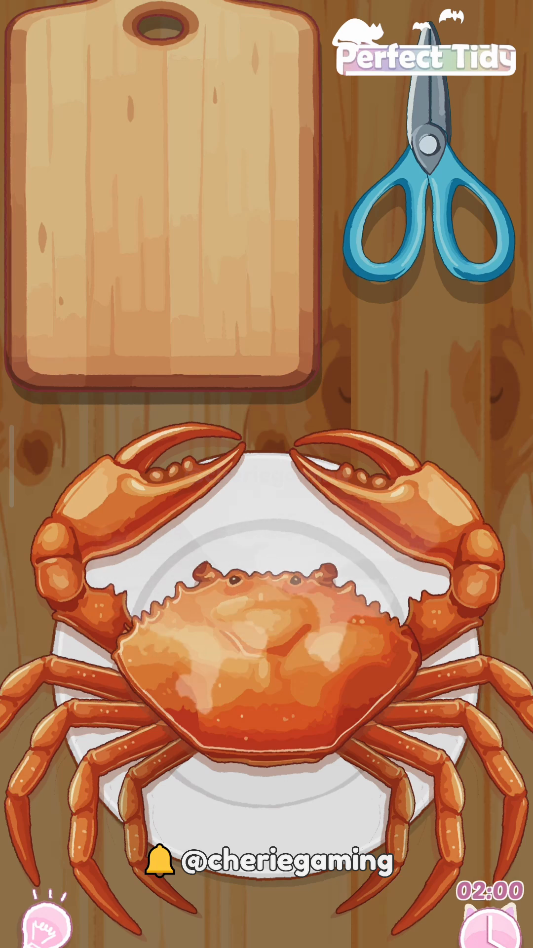 Perfect Tidy Level 147 Complete Walkthrough Step 2