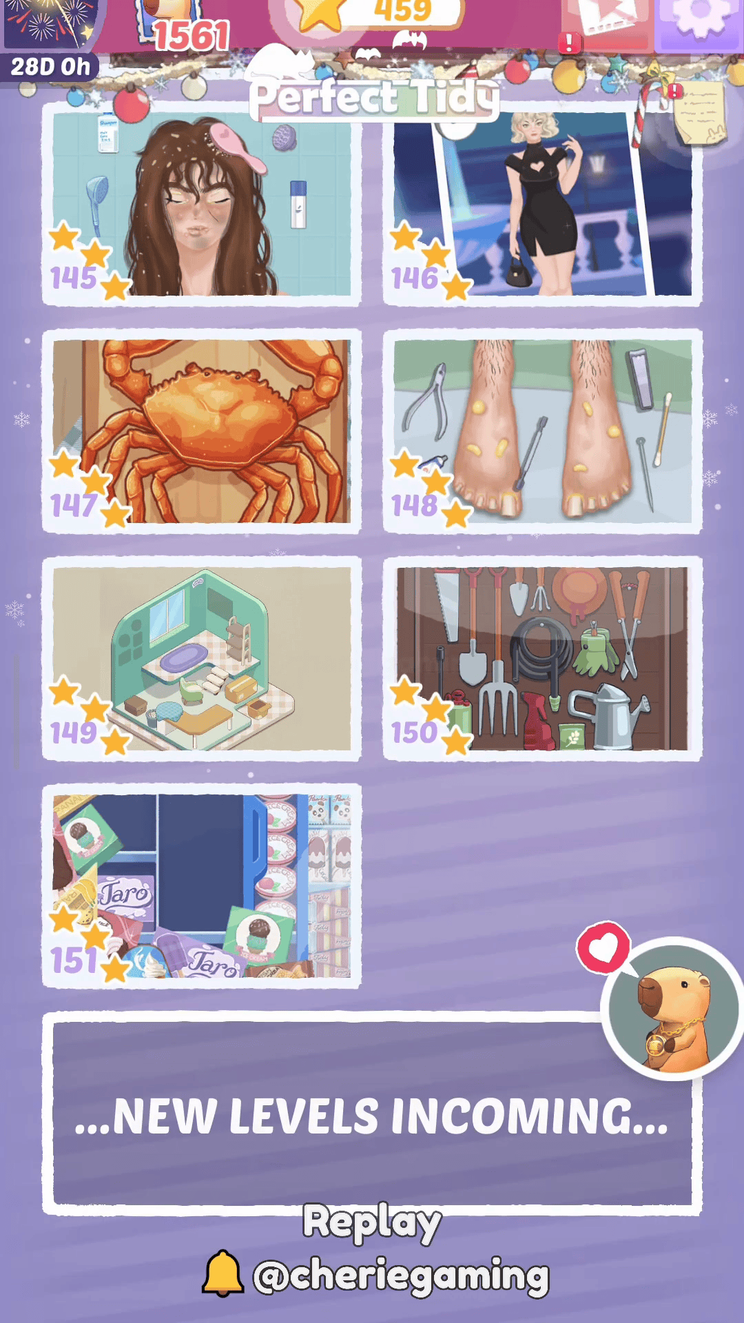 Perfect Tidy Level 148 Complete Walkthrough Step 4