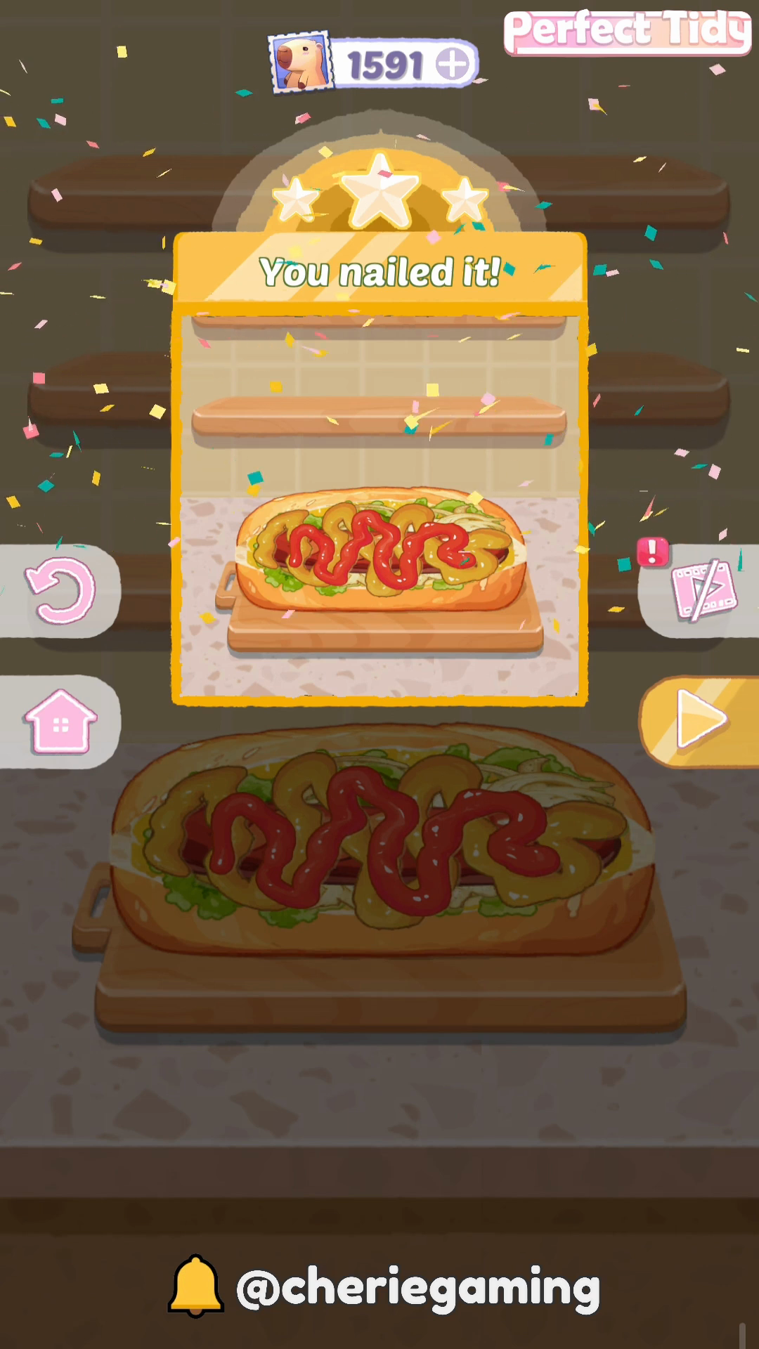 Perfect Tidy Level 157 Complete Walkthrough Step 5