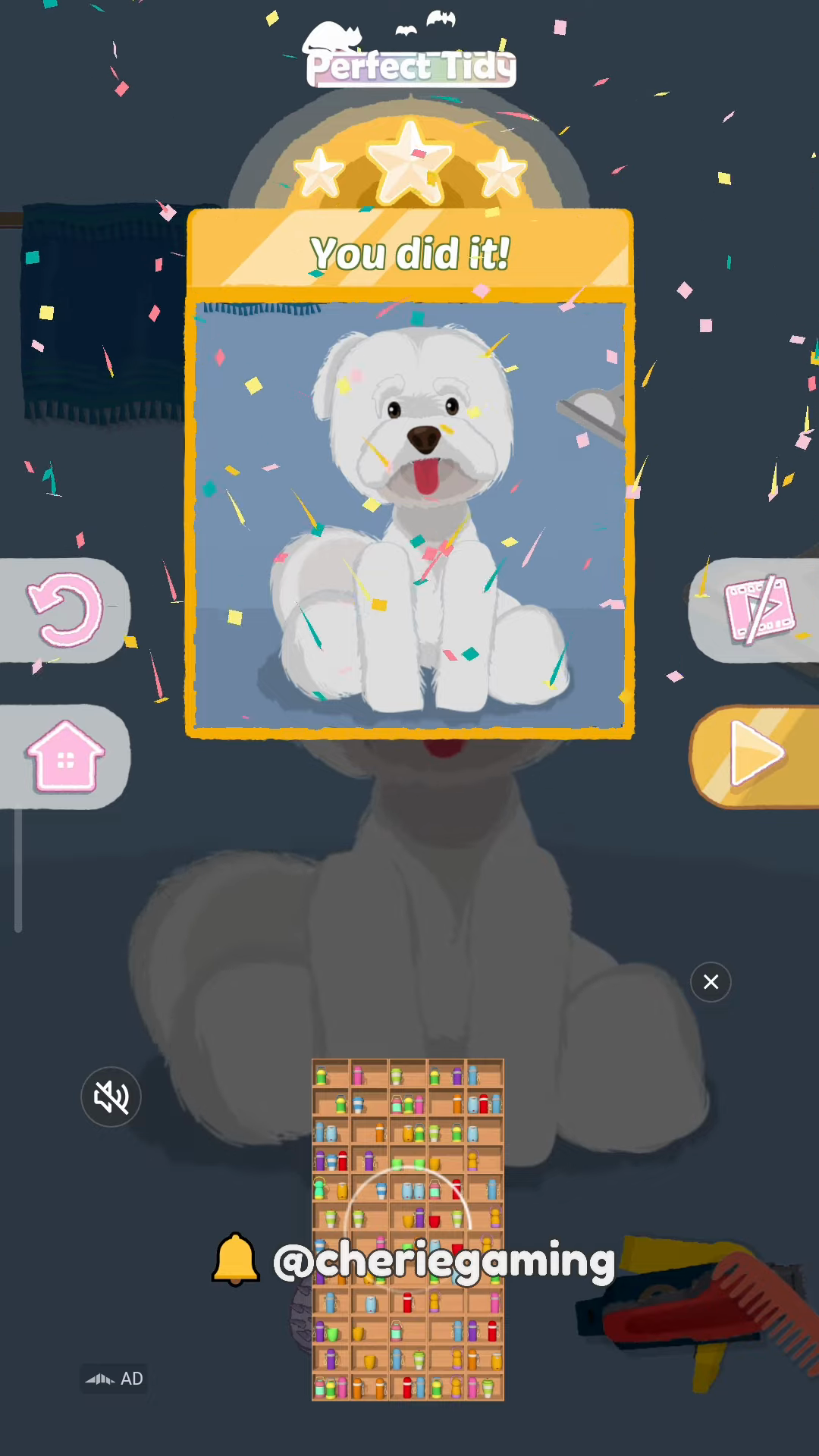 Perfect Tidy Level 18 Complete Walkthrough Step 6