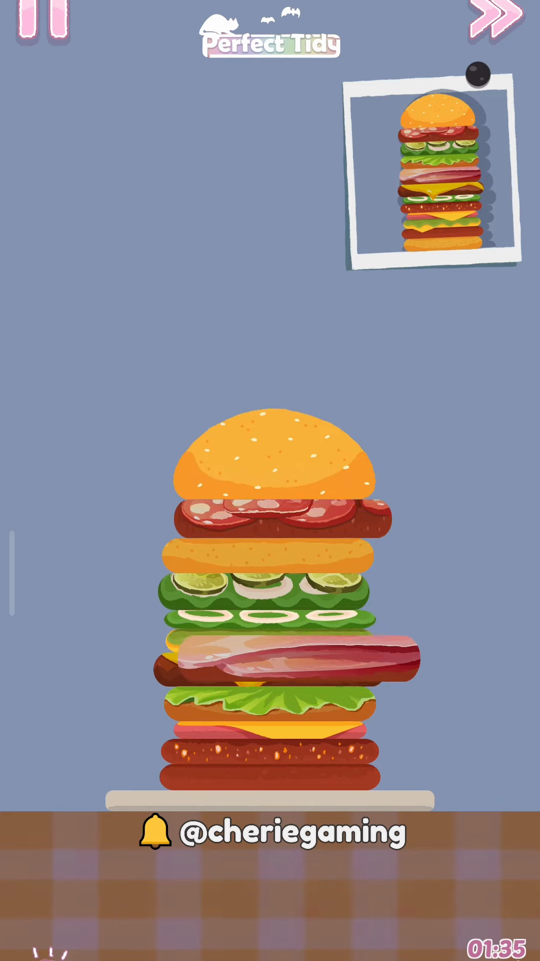Perfect Tidy Level 19 Complete Walkthrough Step 3