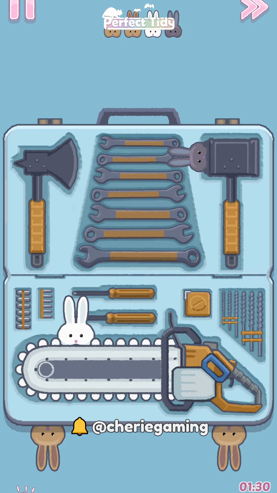 Perfect Tidy Level 28 Complete Walkthrough Step 3