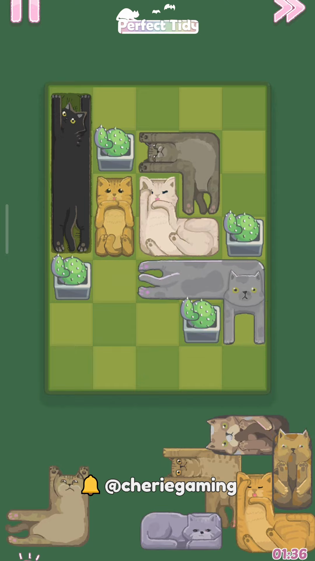 Perfect Tidy Level 30 Complete Walkthrough Step 4