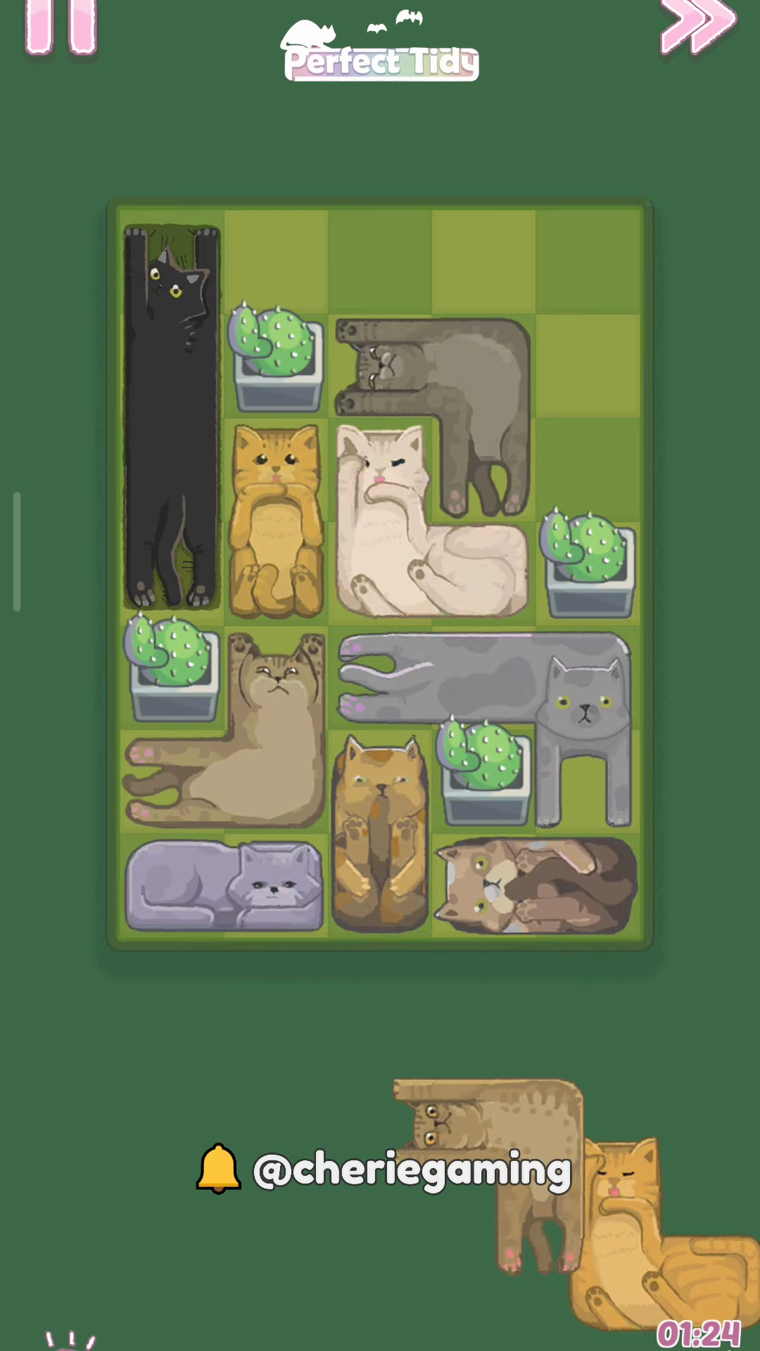 Perfect Tidy Level 30 Complete Walkthrough Step 5