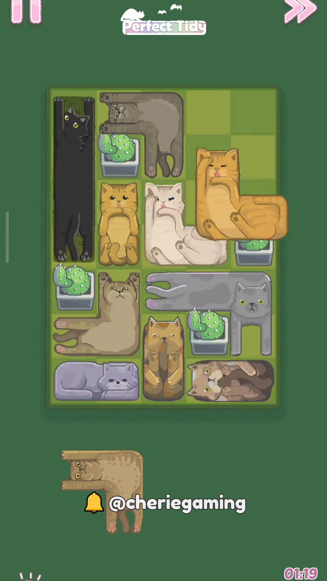 Perfect Tidy Level 30 Complete Walkthrough Step 6