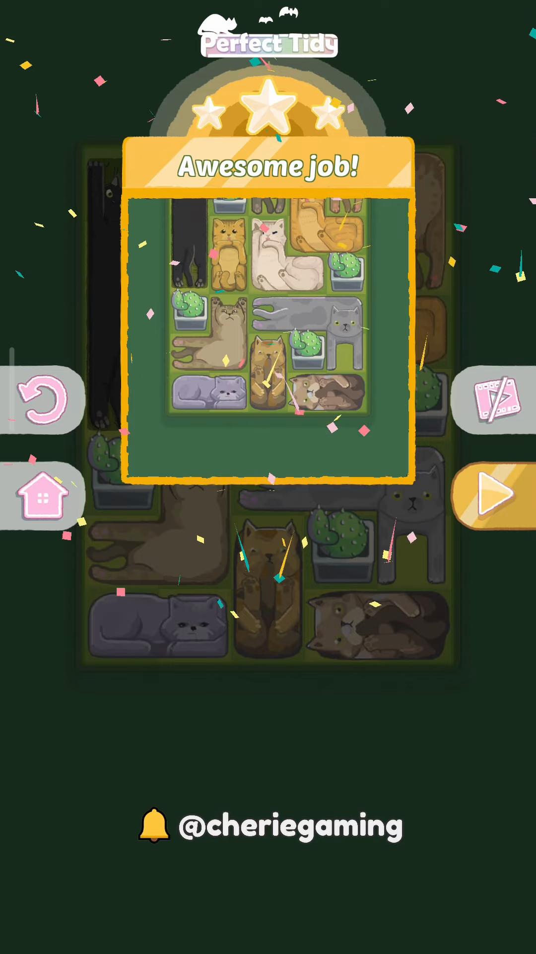 Perfect Tidy Level 30 Complete Walkthrough Step 7