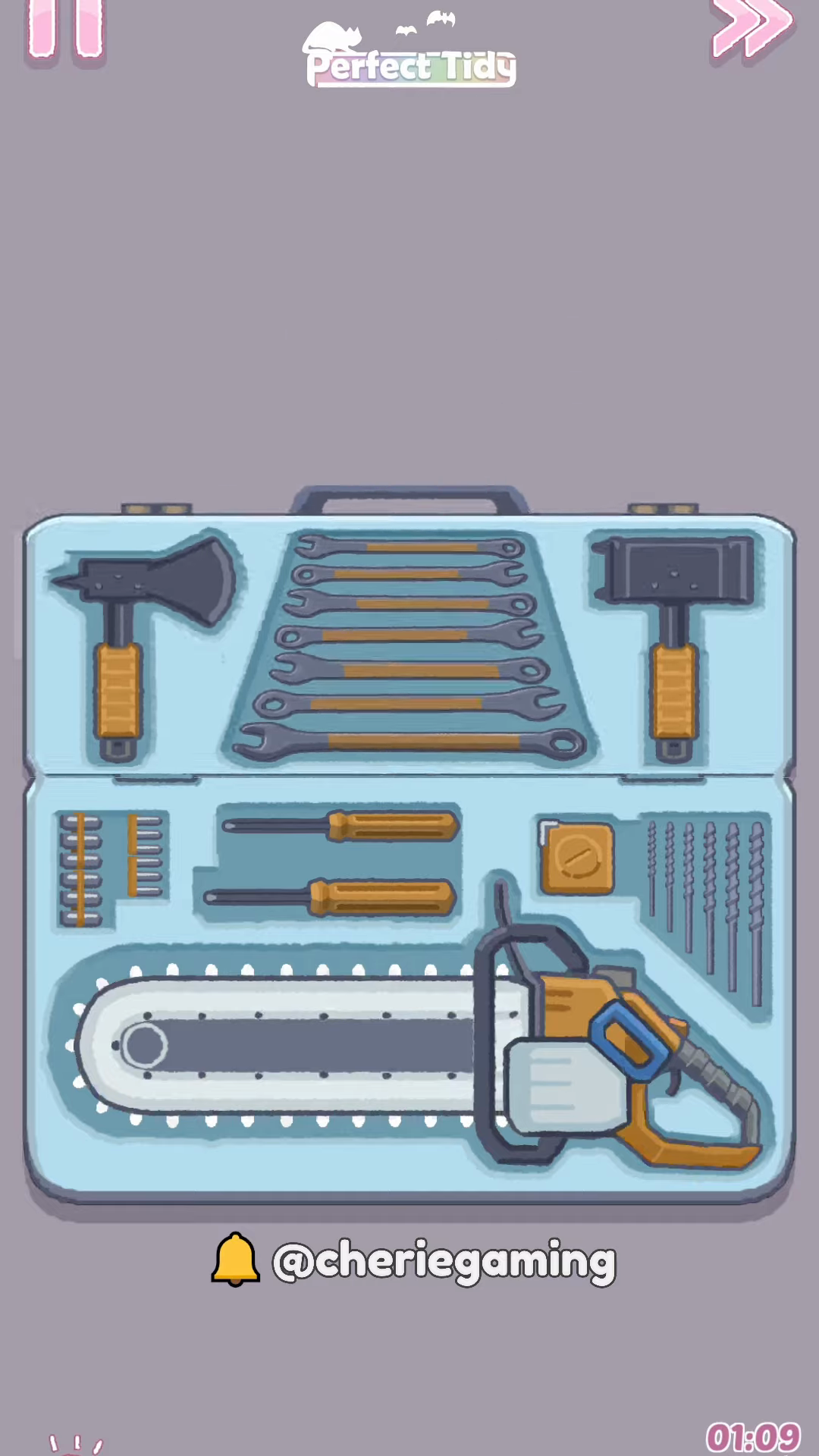 Perfect Tidy Level 39 Complete Walkthrough Step 5