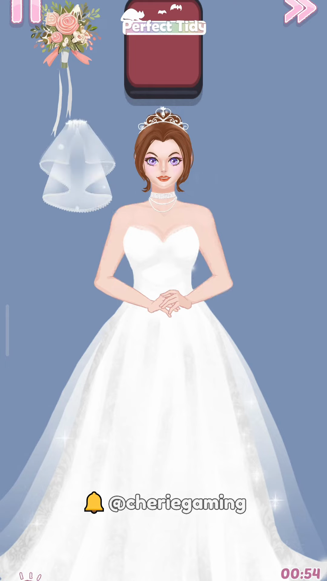 Perfect Tidy Level 99 Complete Walkthrough Step 5