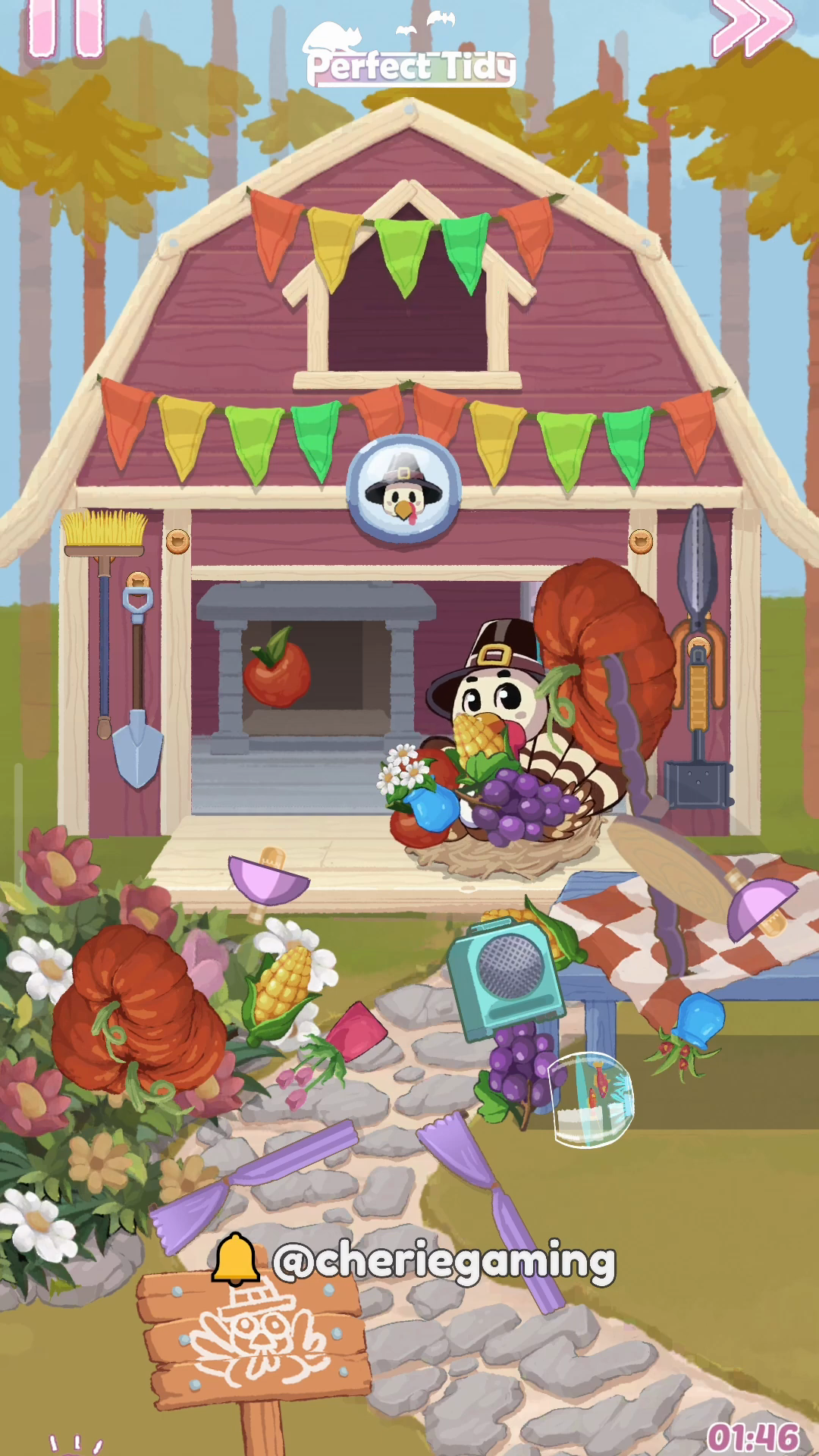 Perfect Tidy Thanksgiving Level 10 Complete Walkthrough Step 5
