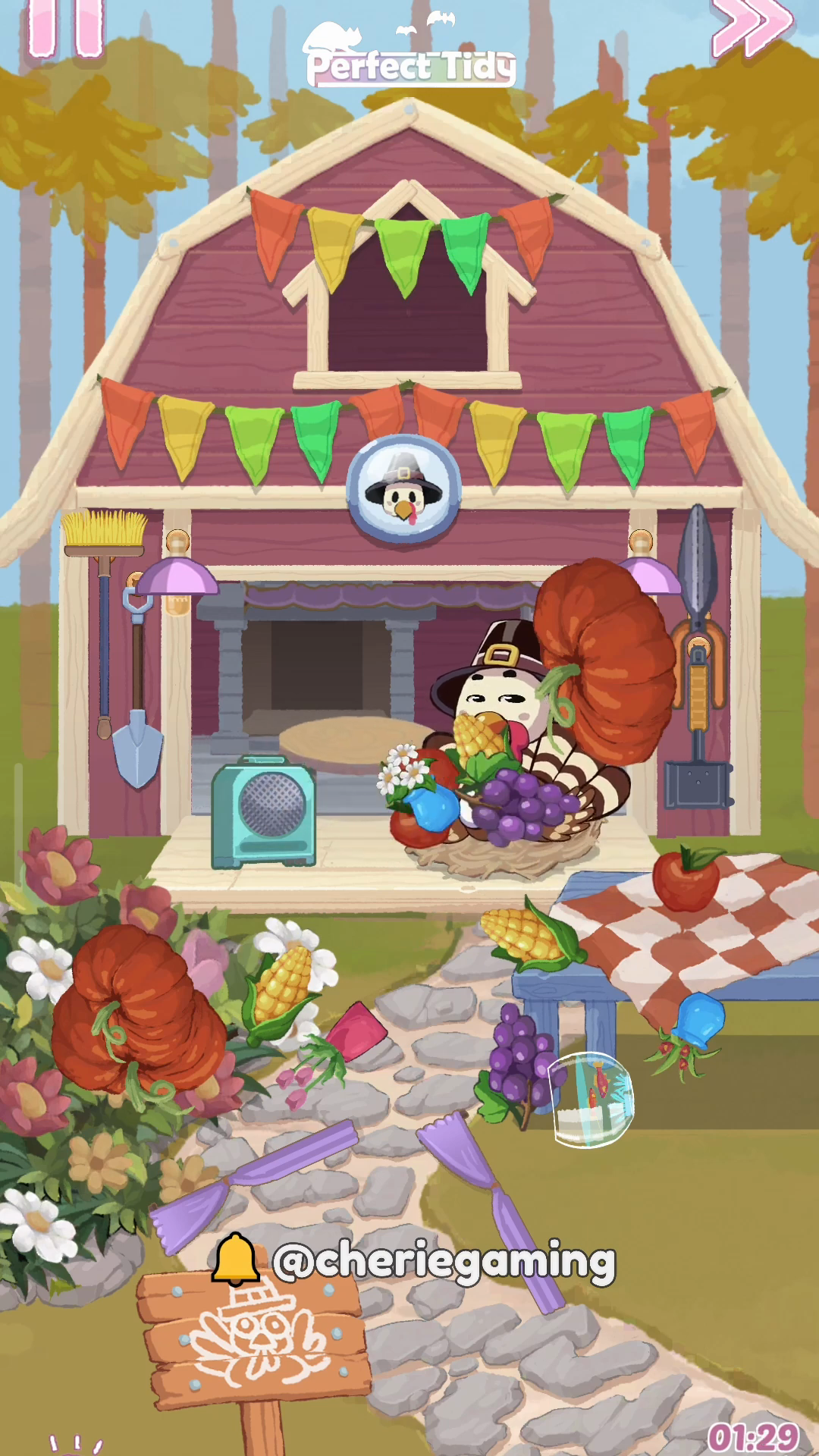 Perfect Tidy Thanksgiving Level 10 Complete Walkthrough Step 6