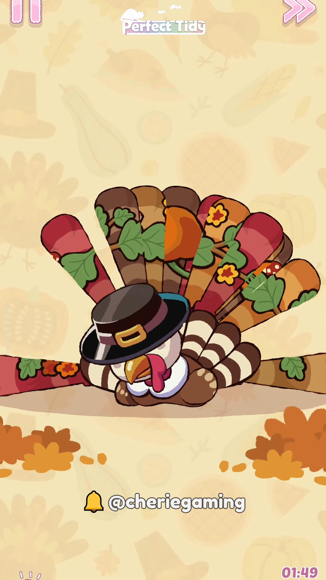 Perfect Tidy Thanksgiving Level 6 Complete Walkthrough Step 2