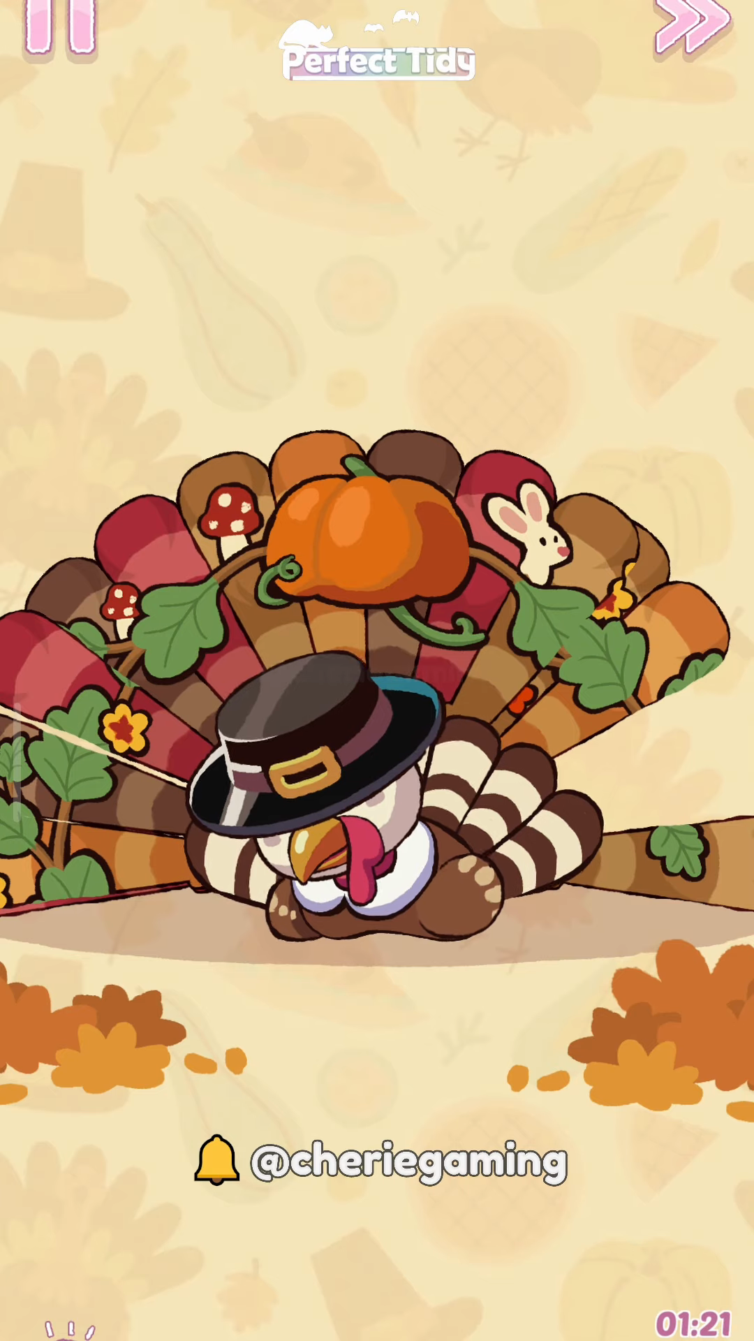 Perfect Tidy Thanksgiving Level 6 Complete Walkthrough Step 3