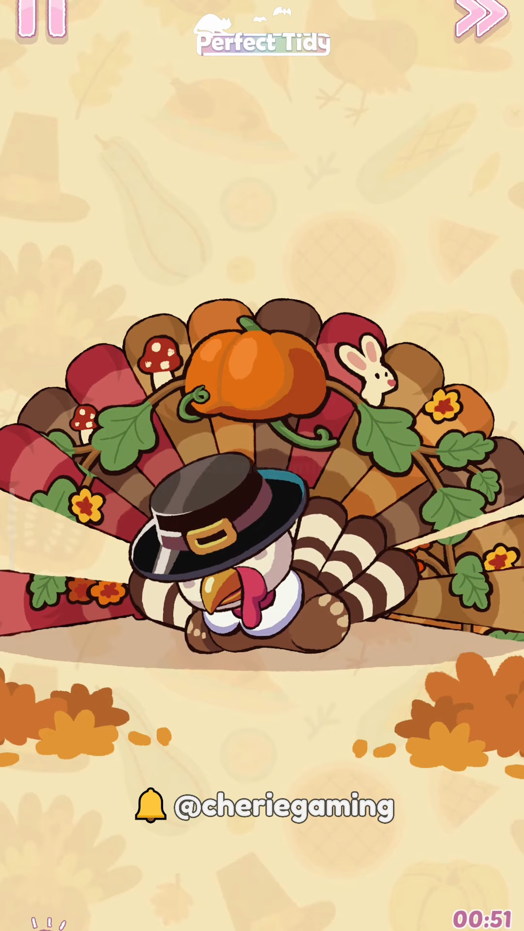 Perfect Tidy Thanksgiving Level 6 Complete Walkthrough Step 4