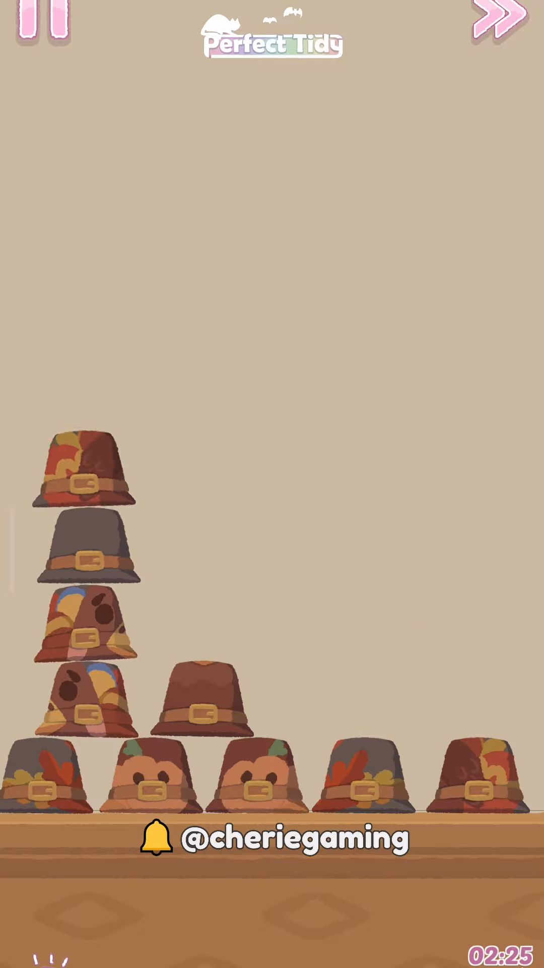 Perfect Tidy Thanksgiving Level 9 Complete Walkthrough Step 4